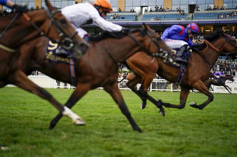 Royal Ascot 2021: Perotto, Oisin Murphy win Britannia Stakes.